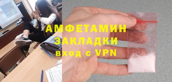 гидра Горняк