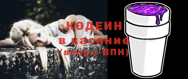 гидра Горняк