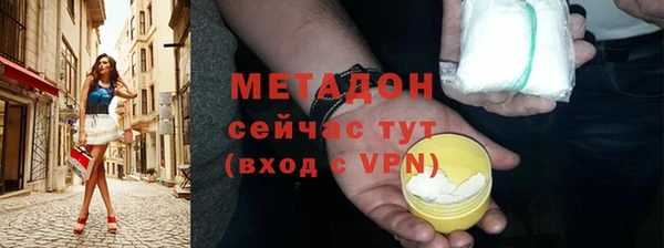 гидра Горняк