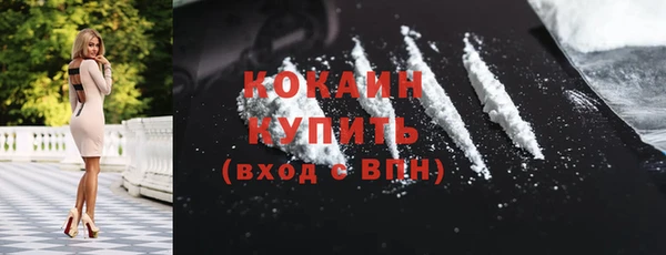 PSILOCYBIN Ростов