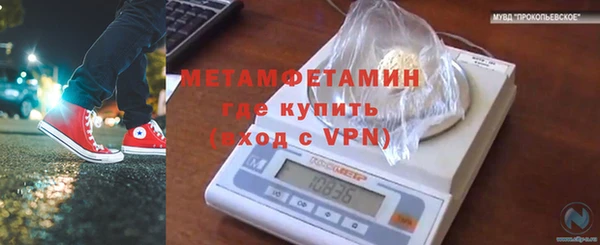 гидра Горняк