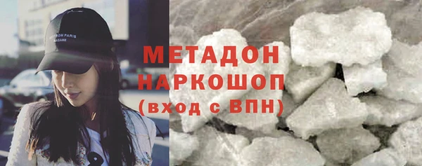 гидра Горняк