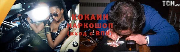 гидра Горняк