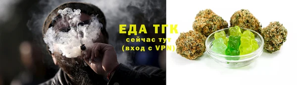 гидра Горняк