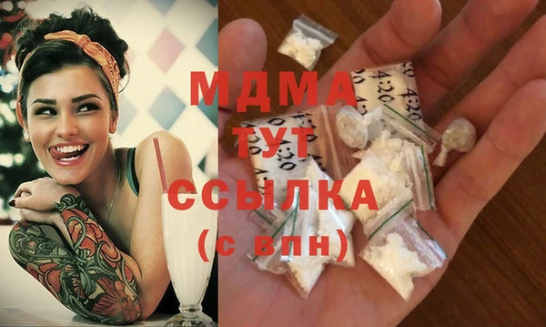гидра Горняк