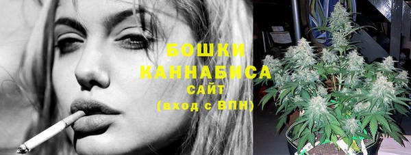гашик Горно-Алтайск