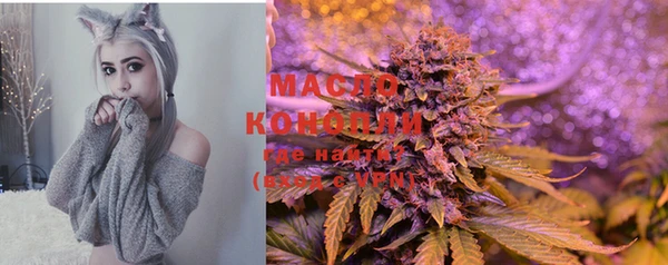 гидра Горняк