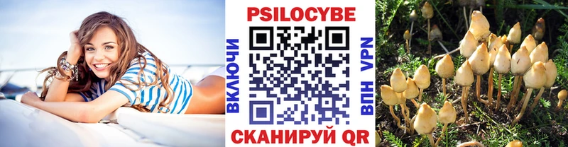 как найти   OMG зеркало  Псилоцибиновые грибы Psilocybine cubensis  Братск 
